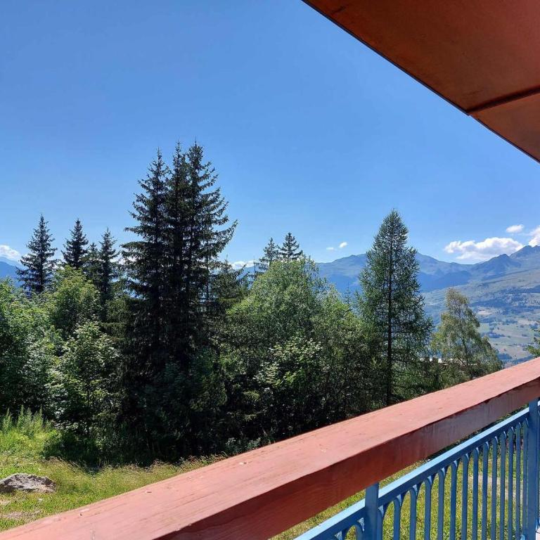 Appartement 2 pièces pour 6 personnes, animaux admis, Arc 1800 - FR-1-411-783 - Appartement (6 Adultes) - 2
