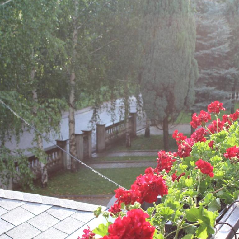 Hotel Danica - Superior Dvokrevetna Soba sa Bračnim Krevetom/Zasebnim Krevetima - 8