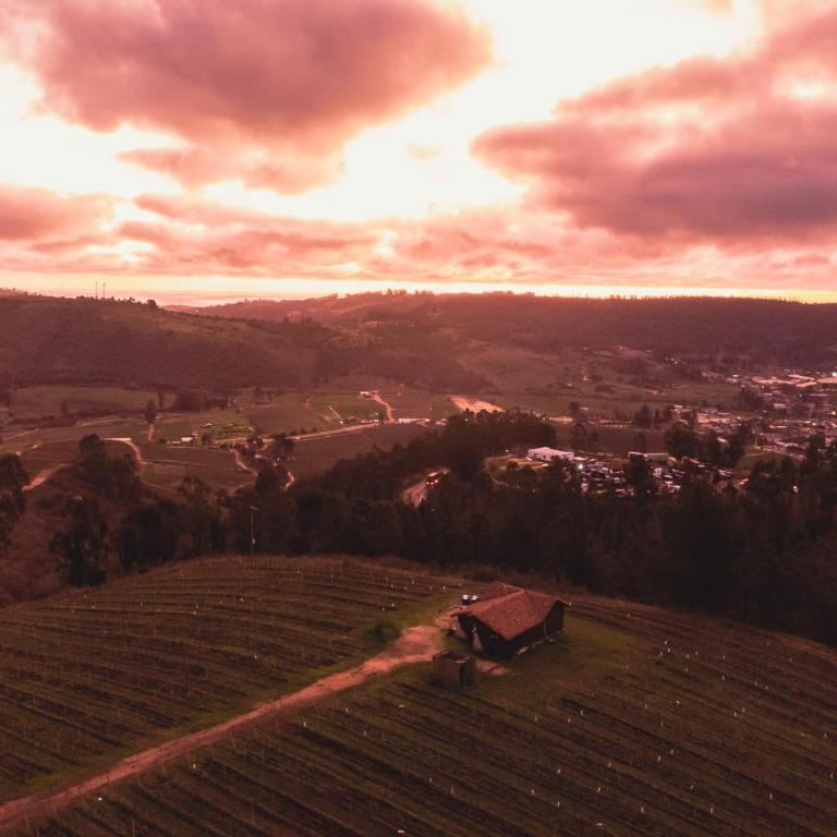 Bungalow Miramar & Jeronimo at Casa Marin Vineyards - Bungalow - 15