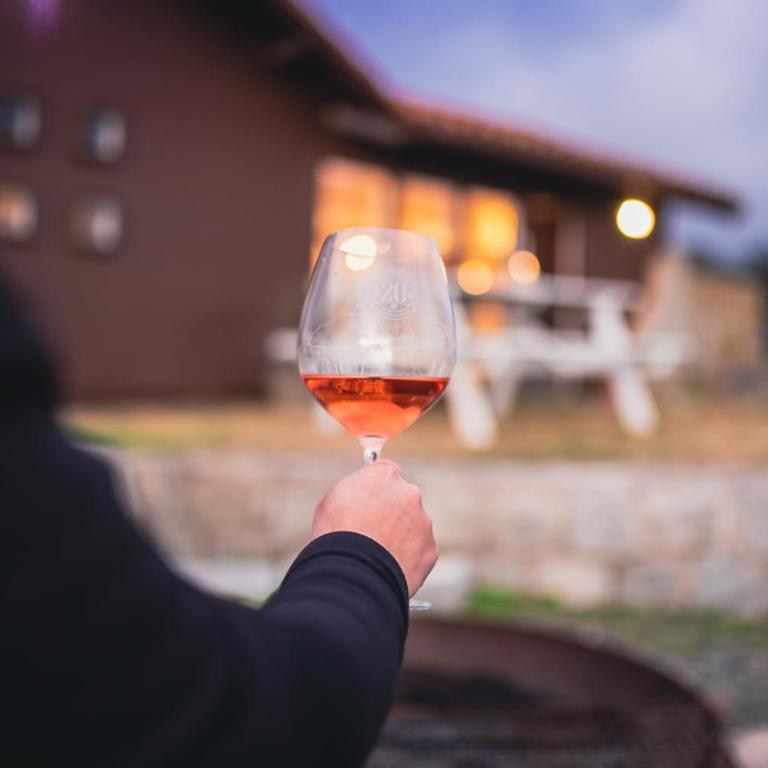 Bungalow Miramar & Jeronimo at Casa Marin Vineyards - Bungalow - 19