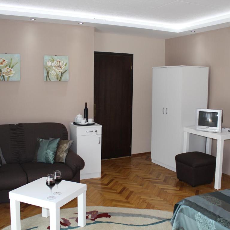 Hotel Danica - Apartman sa Terasom - 5