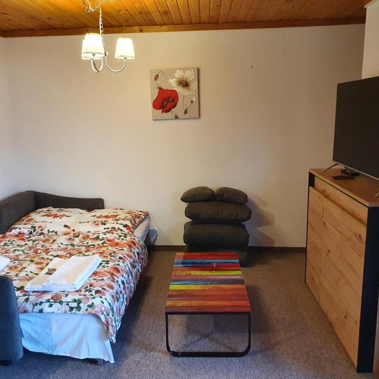 Apartment Haus Starfach - Apartamento Superior de 1 dormitorio - 5