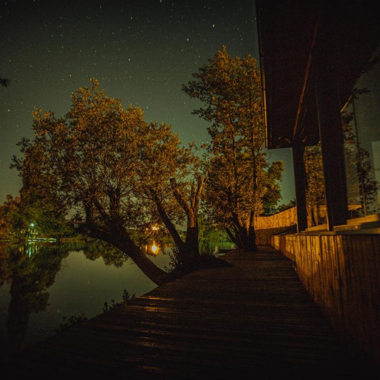 Grand villa Bosnae - Vila - 47