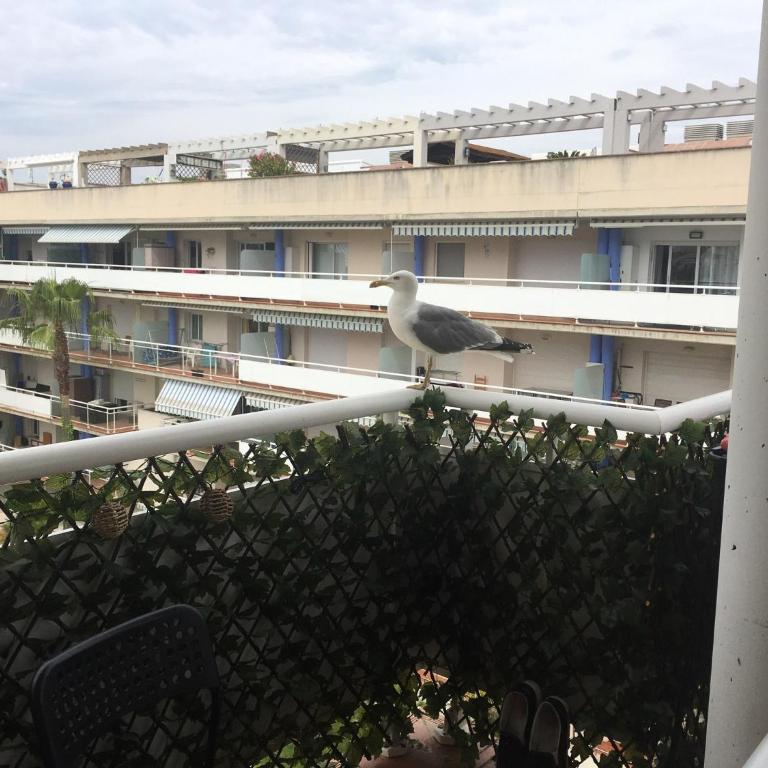 Superbe appartement avec solarium et piscine communautaire - Two-Bedroom Apartment - 18