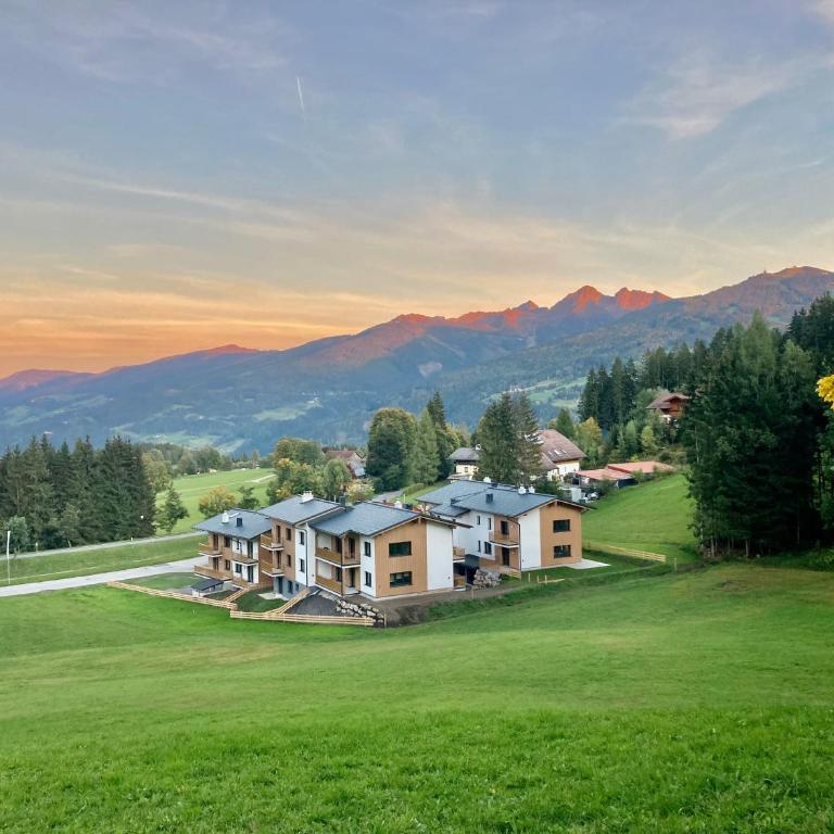 JARA APARTMENT- Ramsau am Dachstein - One-Bedroom Apartment - 22