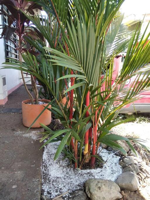 casa blanca - Four-Bedroom House - 51
