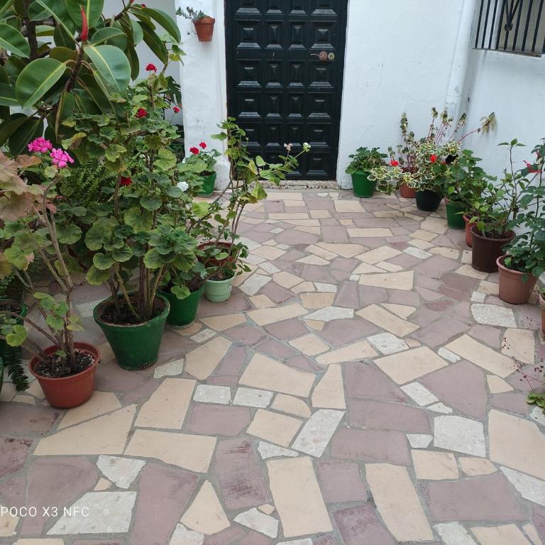 El Pozo - Two-Bedroom Apartment - 10