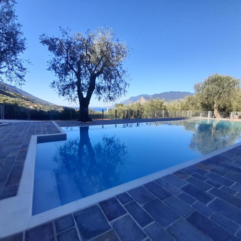 Apartament Kormorano - Appartamento - 2