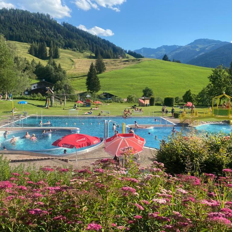 Sunny Apartment Maria Alm - Apartment - 54