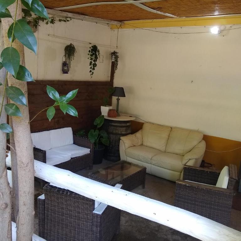 Finca El Naranjo - Casa - 18