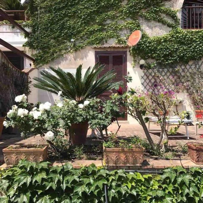 Il Nido Residence - Casa con 2 Camere da Letto - 11