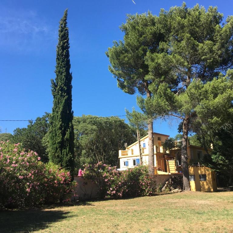 Gites de la Massane - Appartement - Rez-de-Chaussée - 6