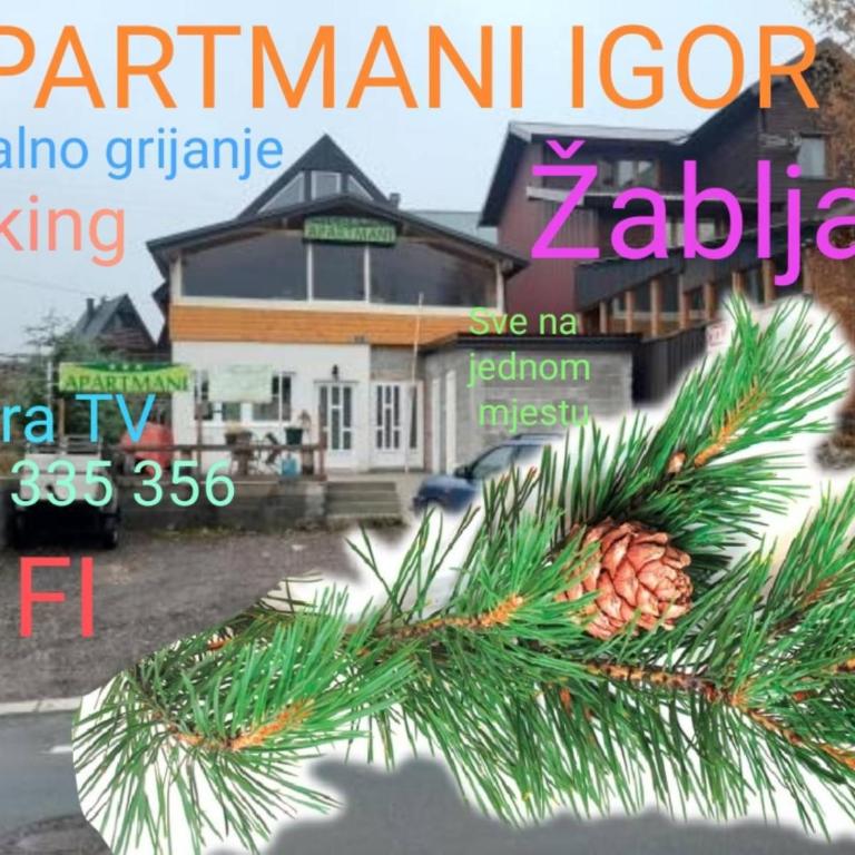 Apartments Igor - Apartman sa 1 Spavaćom Sobom - 2