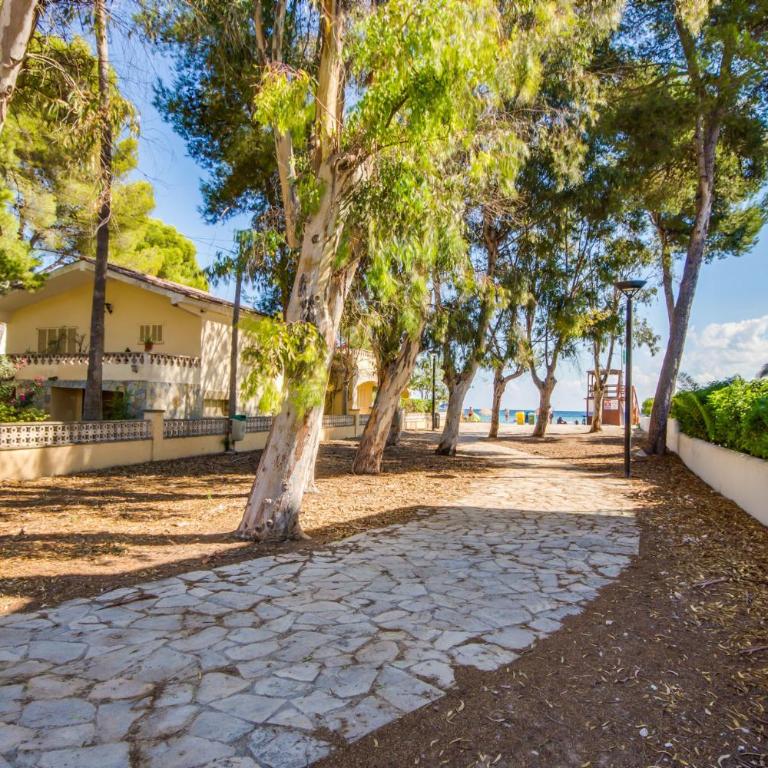 Ideal Property Mallorca - Villa Rosita 12A - Casa - 29