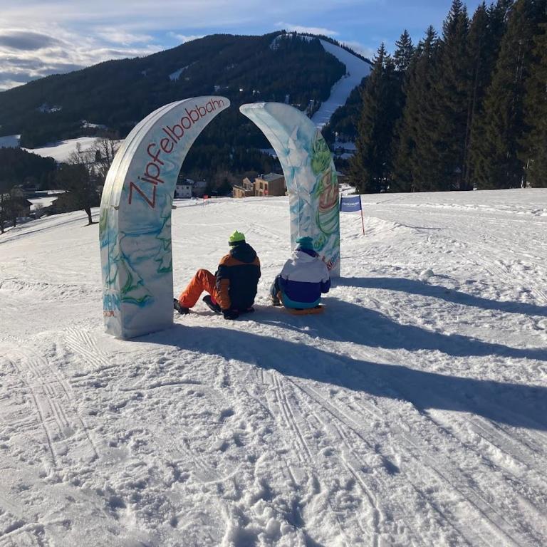 JARA APARTMENT- Ramsau am Dachstein - One-Bedroom Apartment - 69