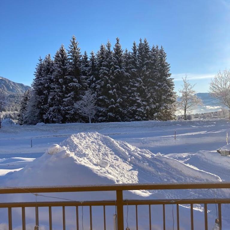 JARA APARTMENT- Ramsau am Dachstein - One-Bedroom Apartment - 72