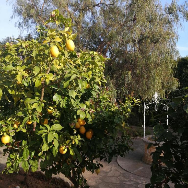 Tranquil Oasis near Unspoilt Natural Beaches - Habitación Doble con vistas al parque - 17