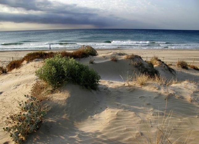 Tranquil Oasis near Unspoilt Natural Beaches - Habitación Doble con vistas al parque - 19
