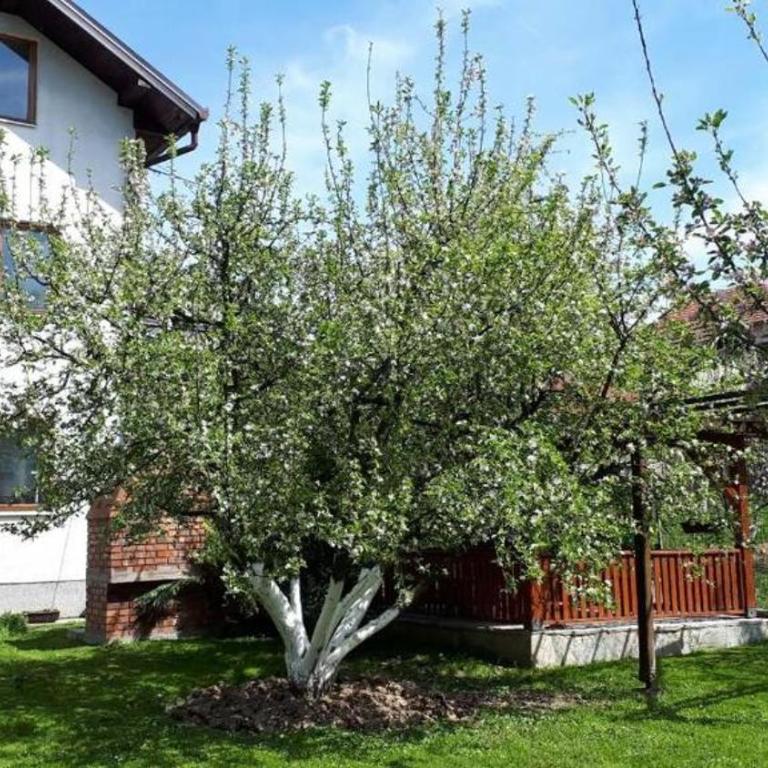 Villa "Bosnia" - Vila - 32
