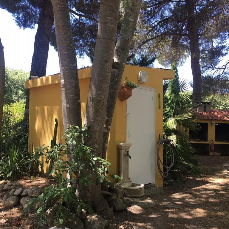 Gites de la Massane - Appartement - Rez-de-Chaussée - 16