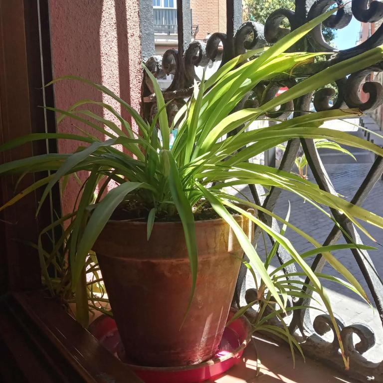 Apartamento Lavapies al lado del Rastro - One-Bedroom Apartment - 31