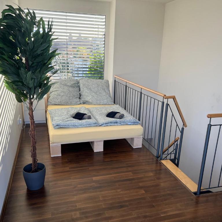 Penthouse-Wohnung - Balkon - Dachterrasse - Zentrum - Apartment mit 2 Schlafzimmern - 45