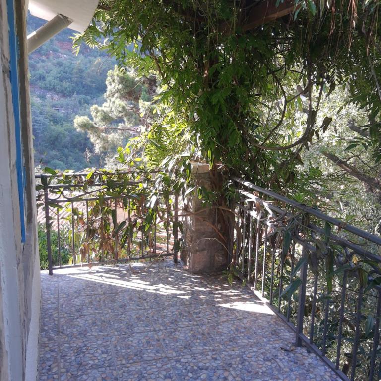 Sea-side Old Stone Villa with a private Garden - Vila sa 3 Spavaće Sobe - 35
