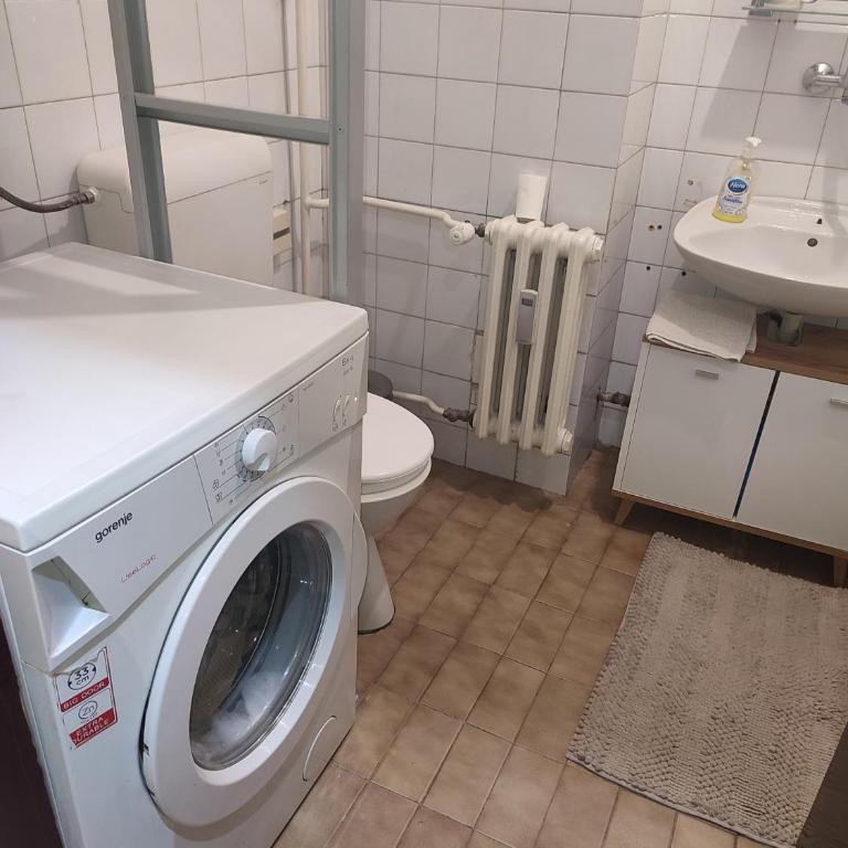 Vila Zora apartman - Apartman sa 1 Spavaćom Sobom - 20