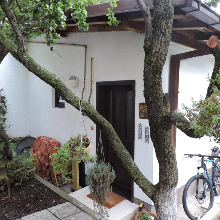 Apartments Music and Garden - Studio with Garden View - 18