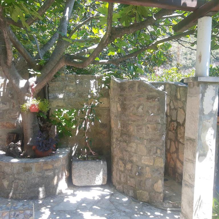 Sea-side Old Stone Villa with a private Garden - Vila sa 3 Spavaće Sobe - 20