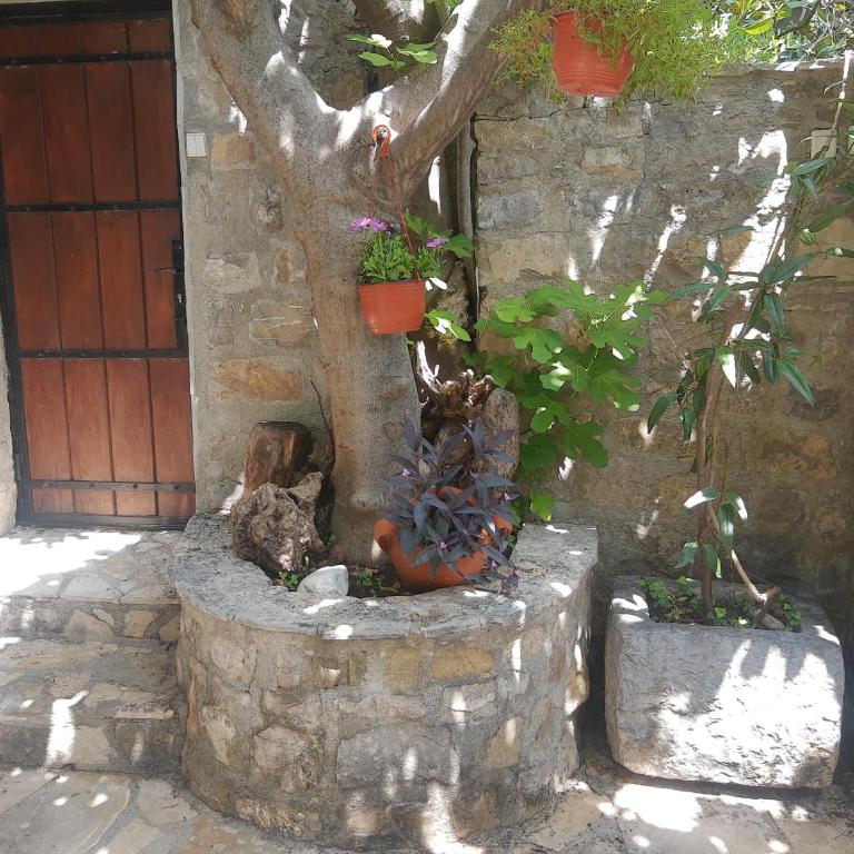 Sea-side Old Stone Villa with a private Garden - Vila sa 3 Spavaće Sobe - 18