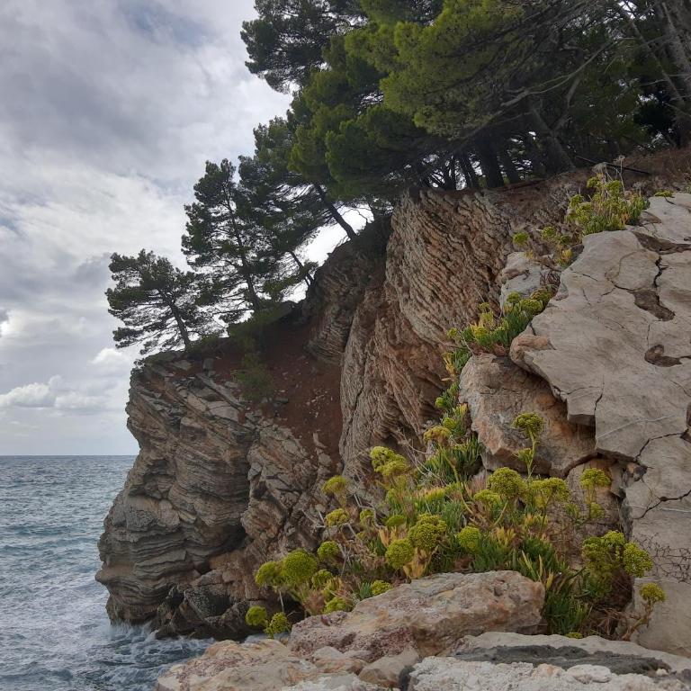Sea-side Old Stone Villa with a private Garden - Vila sa 3 Spavaće Sobe - 3