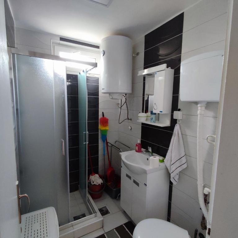 MilijicLux - Apartman sa 1 Spavaćom Sobom - 9