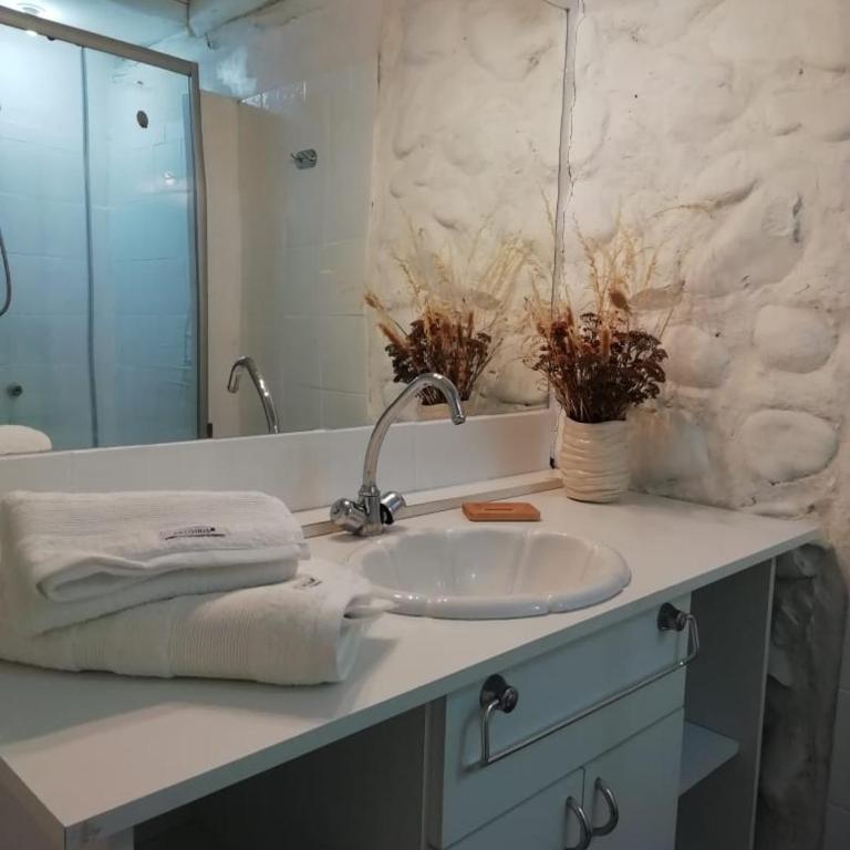 cabaña azul - Chalet de 2 dormitorios - 13