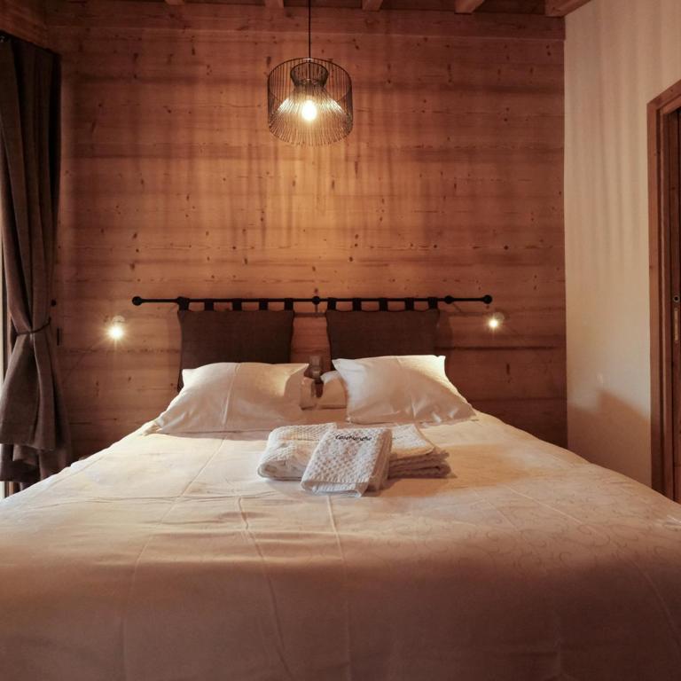 Chalet familial Saint-Martin-de-Belleville - 9 pers, Wifi, parking inclus - FR-1-344-723 - Chalet - 9