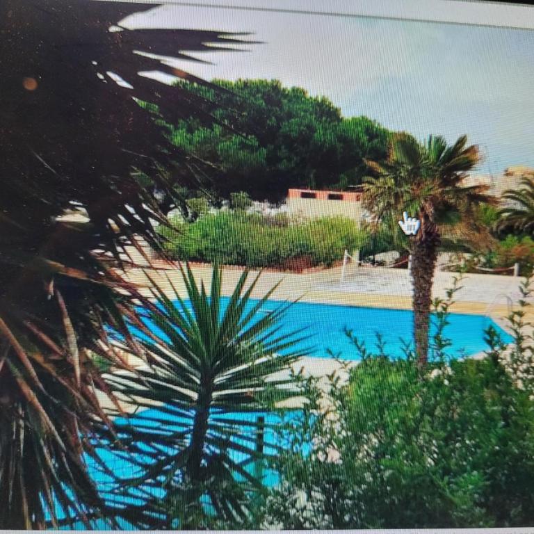 STUDIO CAP D AGDE VUE PORT - Apartamento de 1 dormitorio - 10