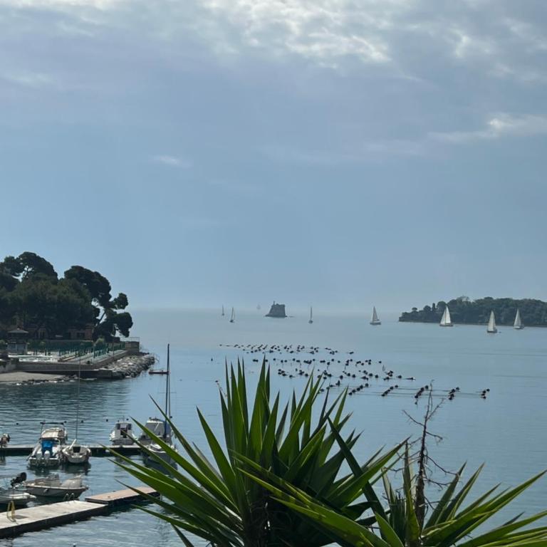 Il Nido a Portovenere - Appartamento con 1 Camera da Letto - 3