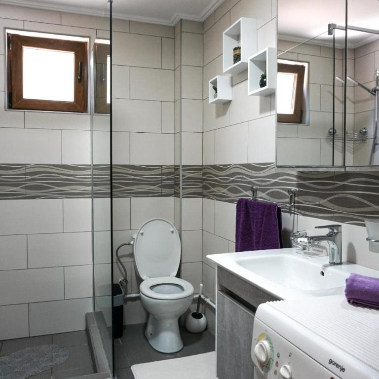 Vila Durmitor Nest Krstajic - Three-Bedroom House - 81