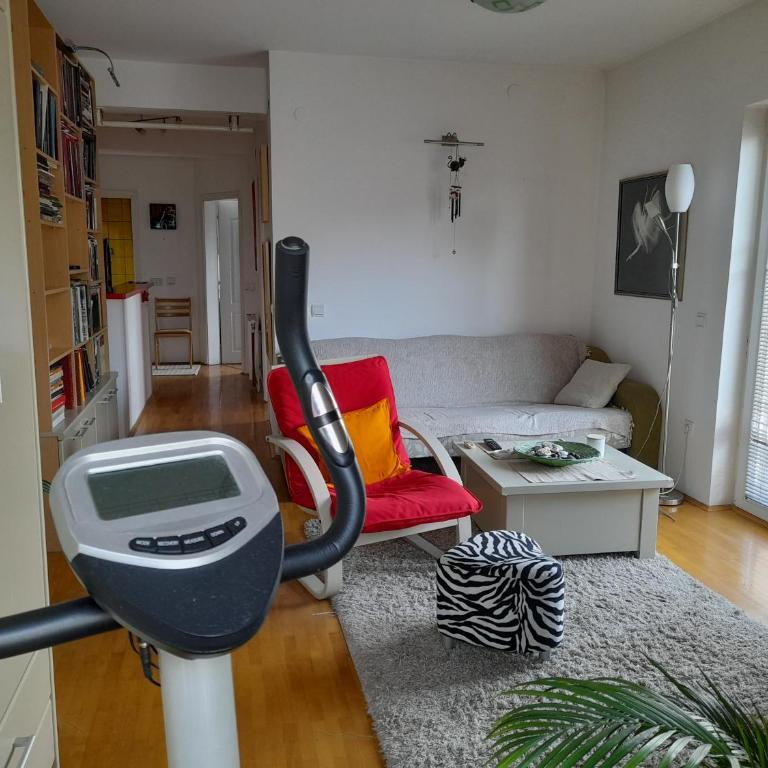 Family Apartman - Apartman sa 3 Spavaće Sobe - 14