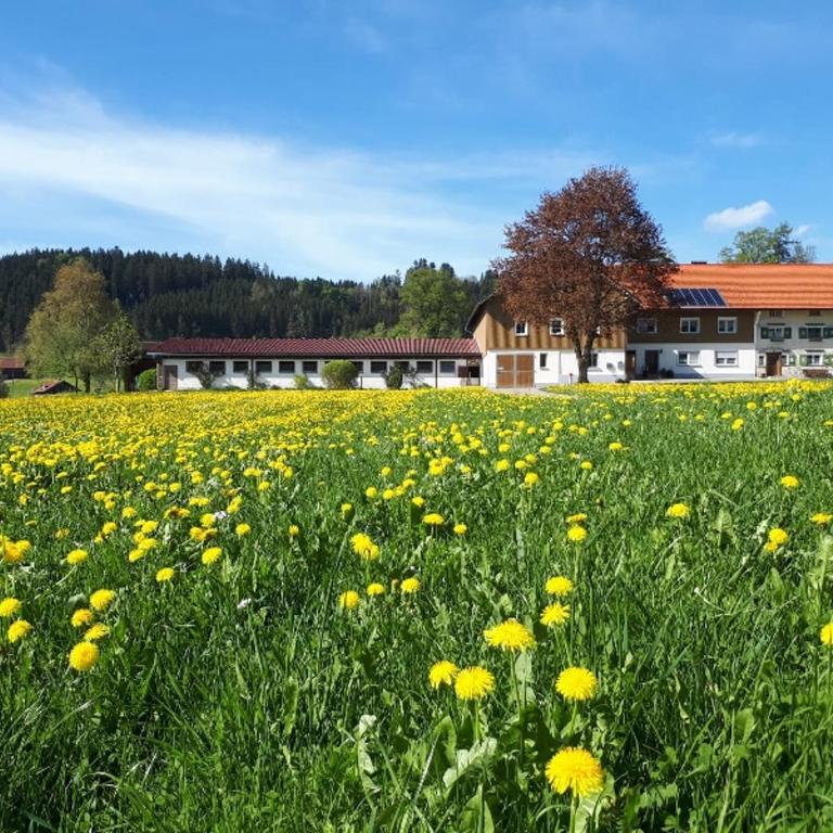 Ferienhaus Rasch - Haus mit 2 Schlafzimmern - 25