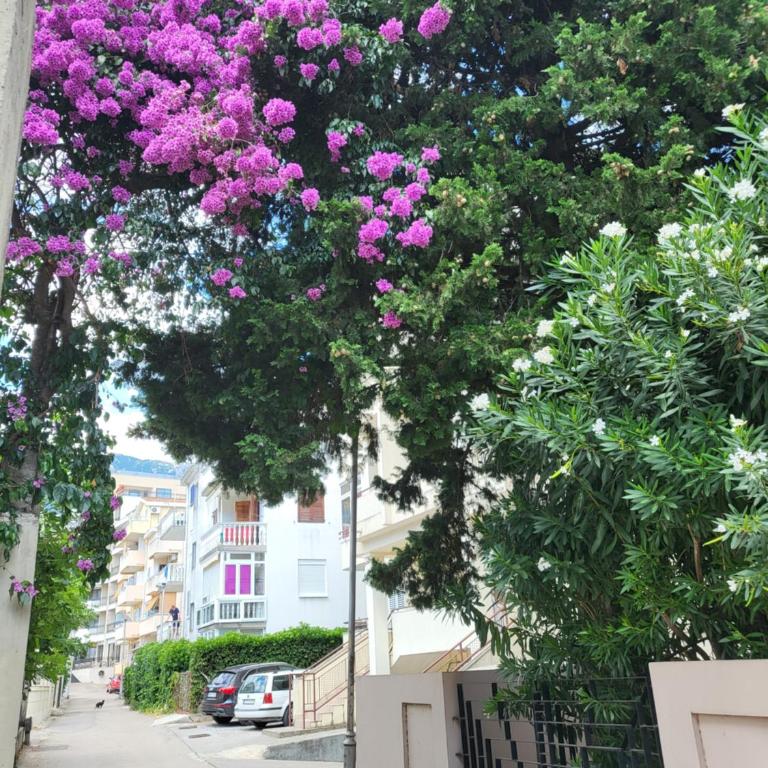 Family apartment Maxema - Apartman sa 2 Spavaće Sobe - 26