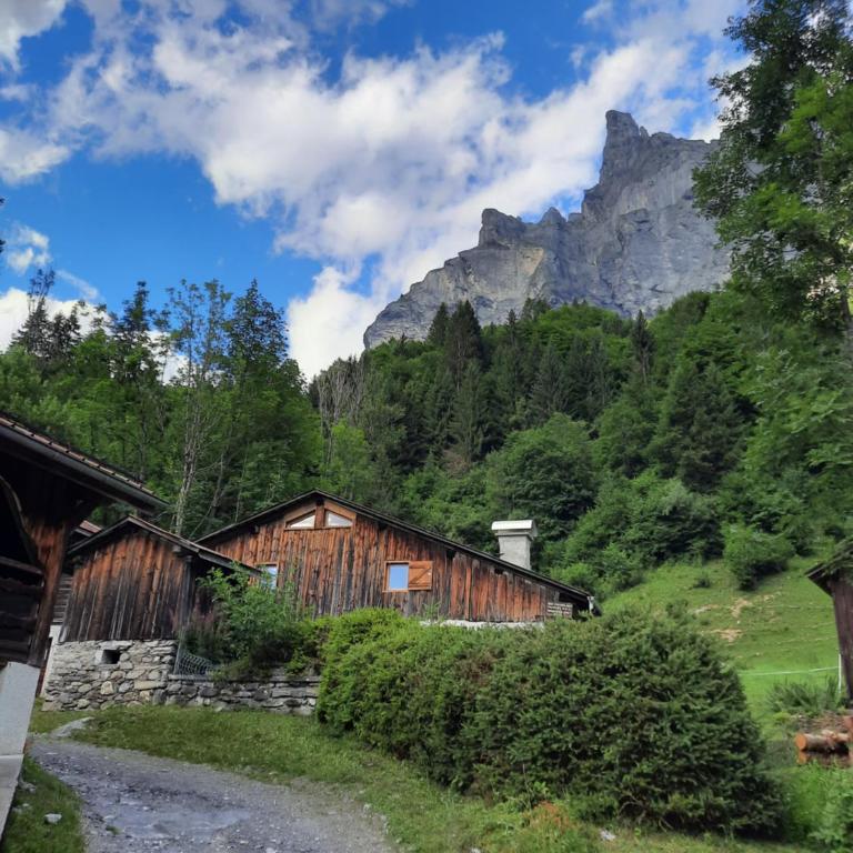 Chalet la corne du chamois - Chalet 2 Chambres - 10