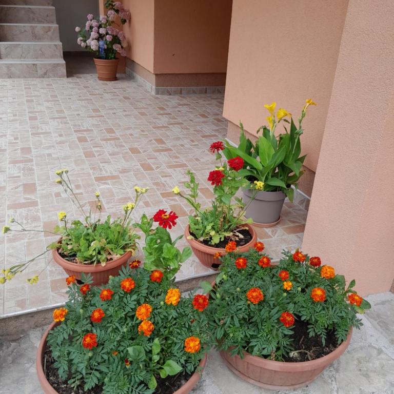 Kuća za odmor Panorama Lohovo Bihać - Three-Bedroom House - 3