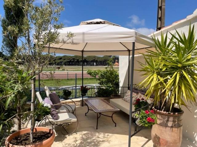 Hôtel Le Méditerranée - Chambre Double Supérieure avec terrasse ou balcon - 2