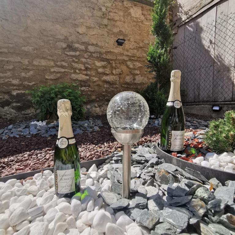 La Chouette de la Cathédrale - Calme - Jardin - Wifi - Apartment - 32