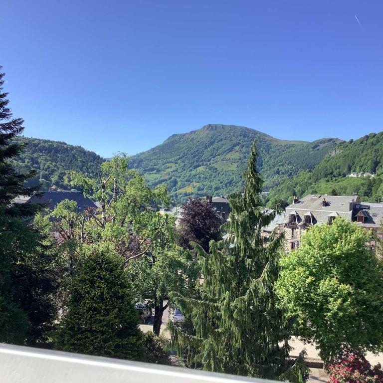 T3 charmant au Mont-Dore hyper centre - animaux acceptés - FR-1-608-227 - Apartment - 2