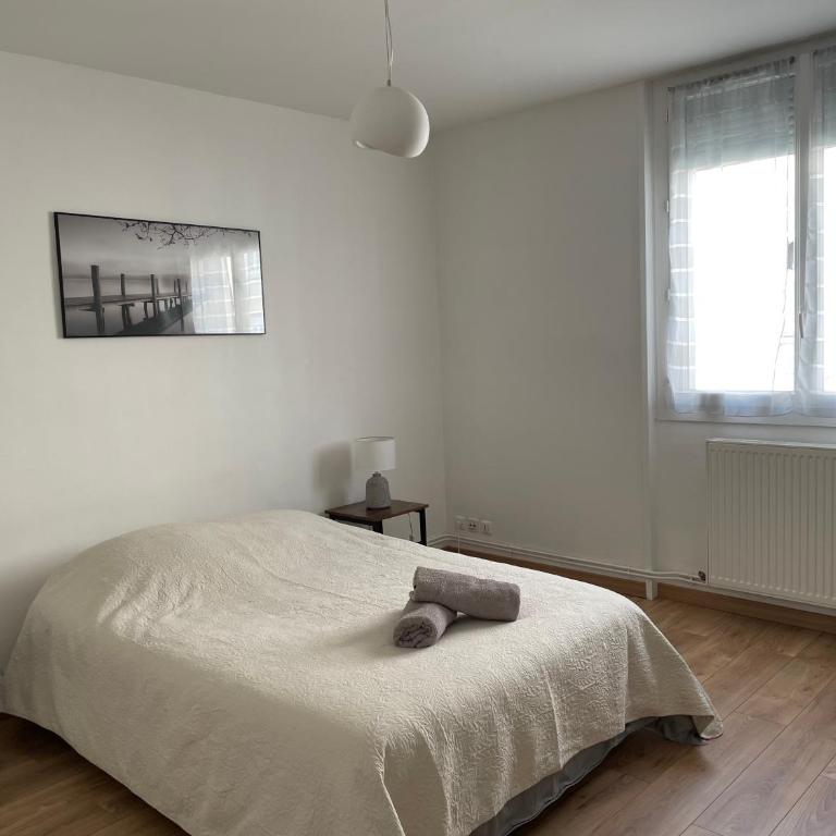 Appartement Spacieux Centre Gare Visitation - Three-Bedroom Apartment - 39