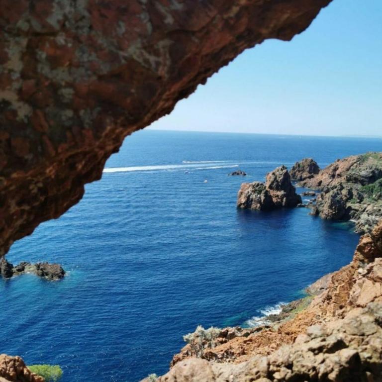 Vacances en paradis - Appartement 1 Chambre - 7