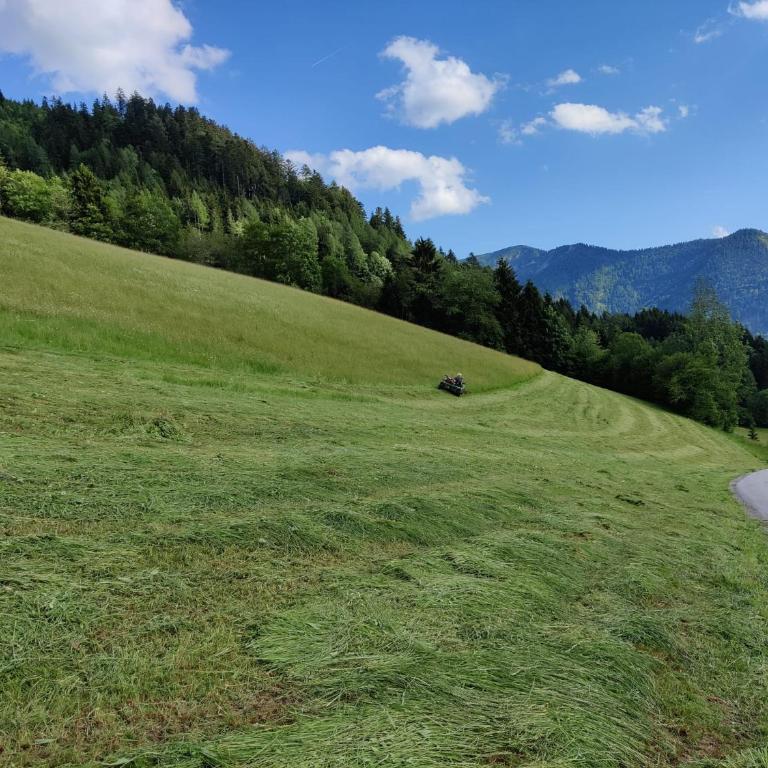 Ferienhaus Englbrecht - Apartment mit Blick auf die Berge - 48
