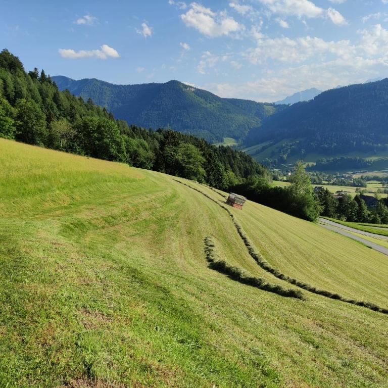 Ferienhaus Englbrecht - Apartment mit Blick auf die Berge - 47